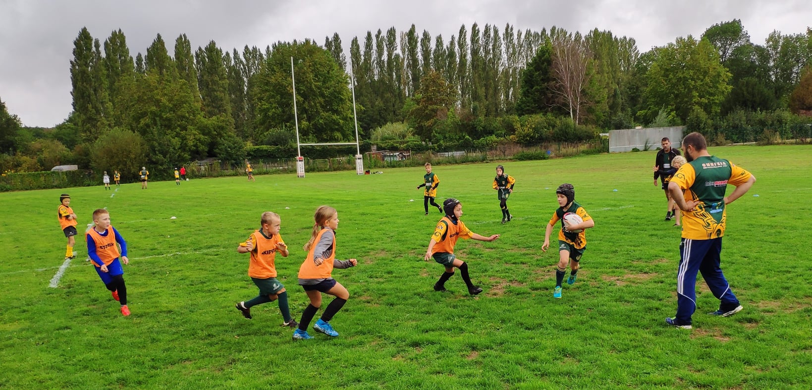 Rugby : faut-il lancer les enfants dans la mêlée ?